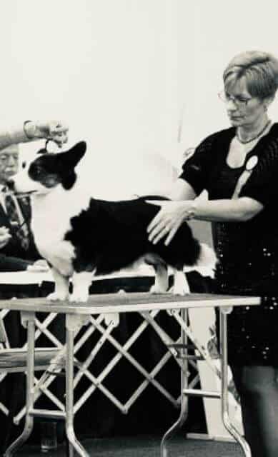 Kathy Schwabe