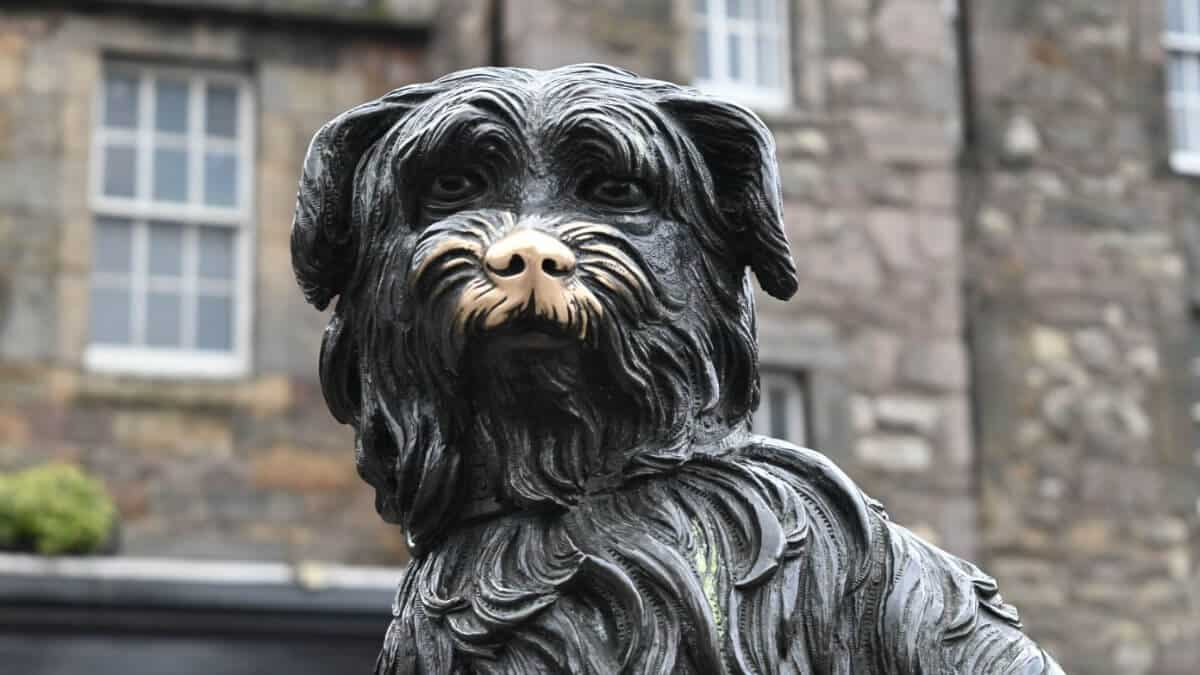 The Statue of Greyfriars Bobby with a bronzed nose in Edinburgh, Scotland