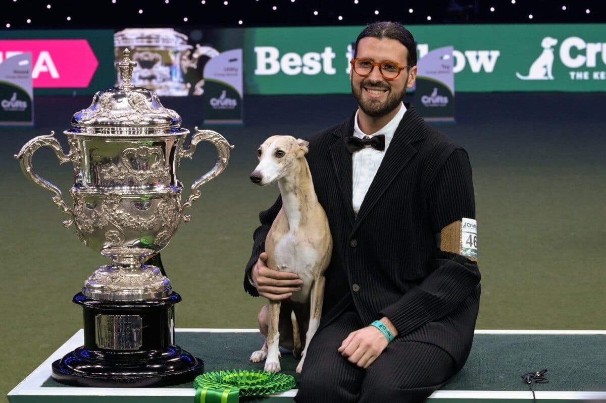 Crufts 2025 Best in Show