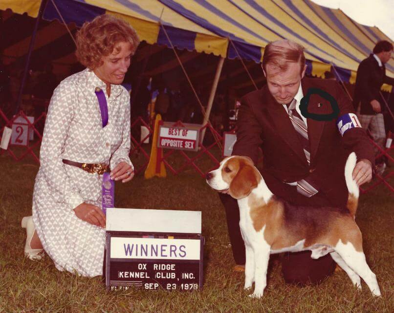 Membership in the Professional Handlers Association is just one way of vetting yourprospective choice to show your dog. While many worthy handlers are not members, those who are have a great pride in their work and acceptance by their peers. I was proud to wear the pin for a decade or so