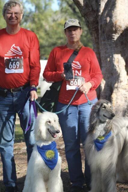 Mark Brandon and author, along with Sandy and Khalil, participating in a local fun runwalk. This counted towards their FIT DOG titles. They are proudly sporting their Canine Good Citizen bandanas.