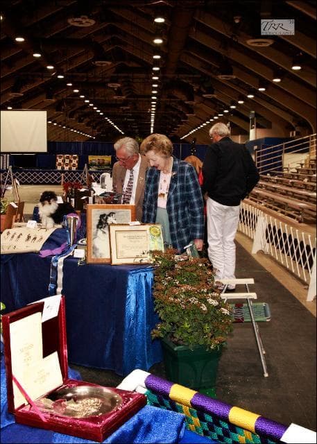 Auction