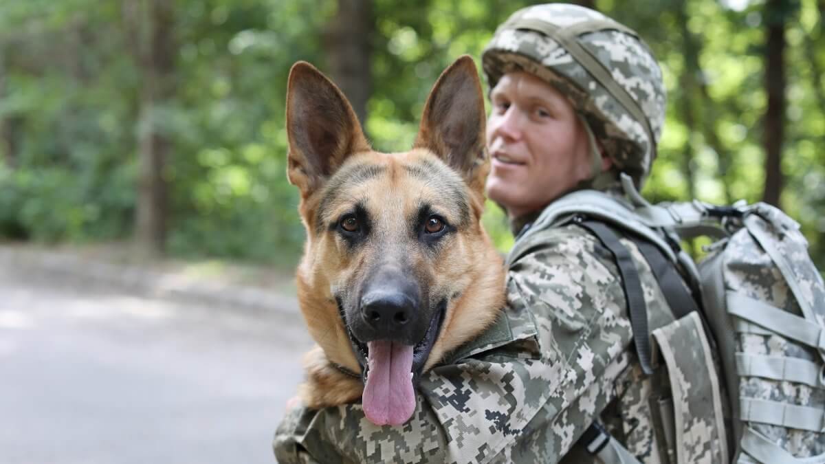 Man in military uniform with German shepherd dog, outdoors