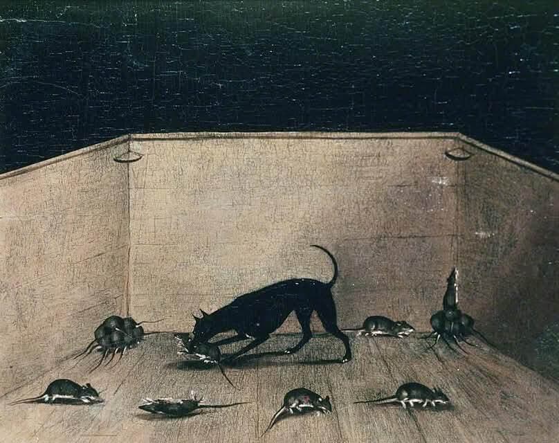 Manchester Terrier