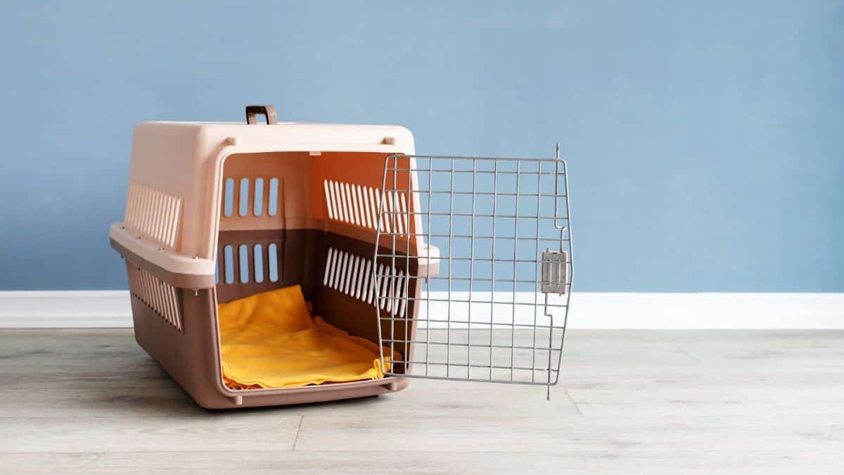 Opened plastic pet carrier or pet cage on the floor at home,
