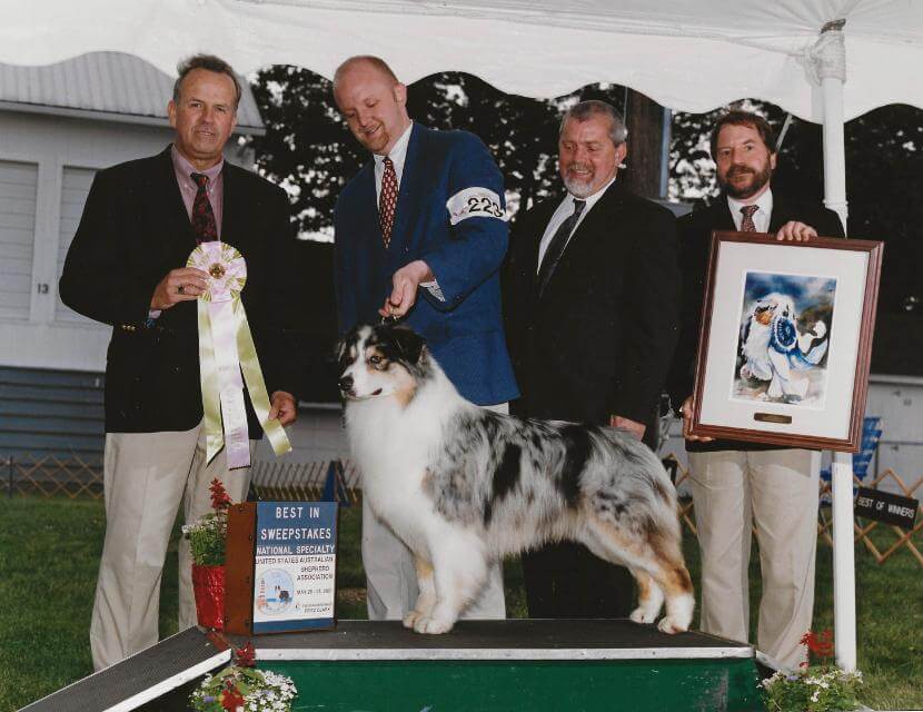 Ch. Bayshore’s Bravado, “Bravo.” Best in Sweepstakes & Winners Dog2001 USASA National Specialty