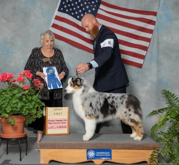 GCH Stonehaven Bayshore Dust Bunny, “Swiffer.”