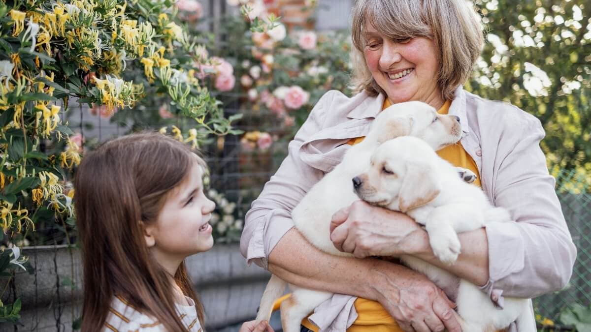 A laughing mature woman shows her granddaughter cute puppies.