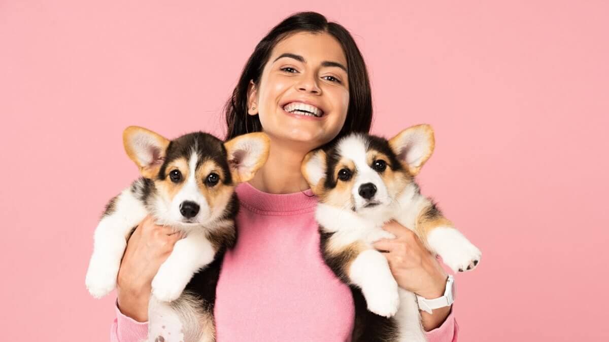 Beautiful happy girl holding Welsh Corgi puppies, isolated on pink.