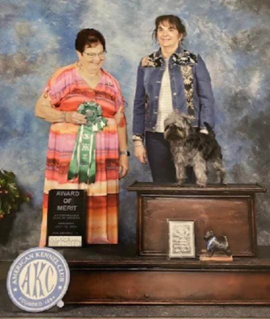 CH Tamarin Tak, bred by Barbara Barth andTamarin Kennels, owned by Sharon Rafferty