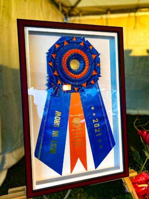 2021 Morris & Essex Best in Show rosette in club colors