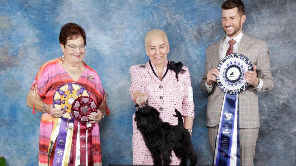 National Best of Breed Winner