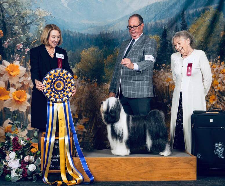 Best of Breed