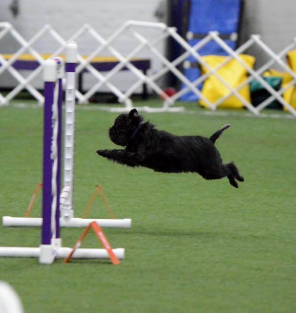 Nola Air