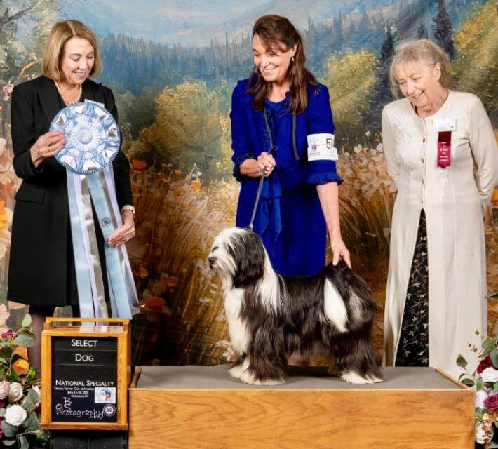Select Dog