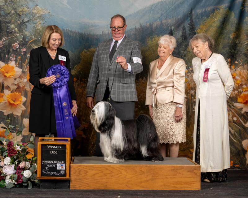 Winners Dog