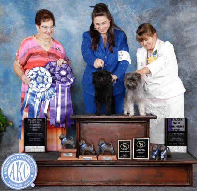 Gizmo Ferlin’s Player’s Gonna Play, bred by KathieTimko, Linda Ferris, and Kayta Timko, owned by Jem Corcoran, Jay Ferrel, and Kathie Timko. Winners Bitch: Gizmo Ferlin’s Just Push Play, bred by Kathie Timko, Linda Ferris, and Kayta Timko, owned by Kathie Timko and Kayta Timko.