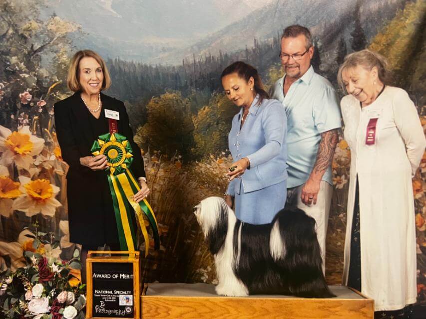 Award of Merit