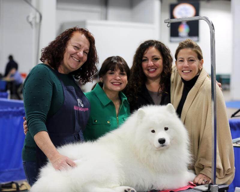 The National Dog Show Presented by Purina: The Kennel Club of Philadelphia’s Thanksgiving Gift