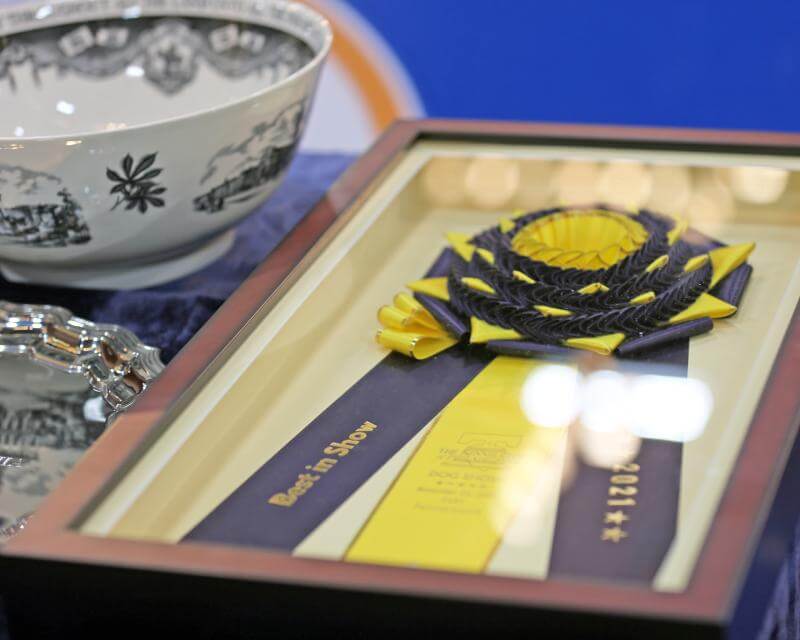 The National Dog Show Presented by Purina: The Kennel Club of Philadelphia’s Thanksgiving Gift