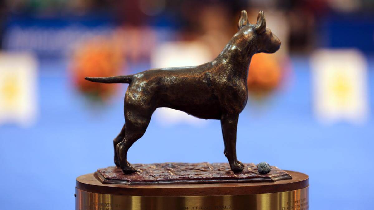 The National Dog Show Presented by Purina: The Kennel Club of Philadelphia’s Thanksgiving Gift
