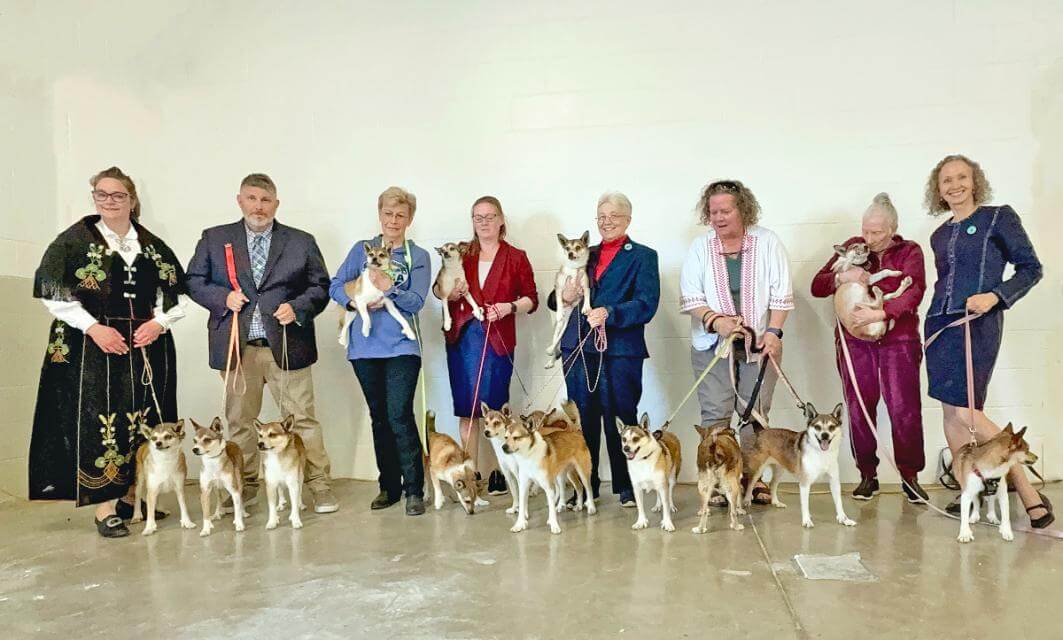 Exhibitors and their dogs gather at the Norwegian Lundehund Association of America's 2025 National Specialty in Bloomington, Illinois.