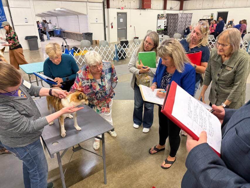 The author presents Judges’ Education at the 2025 National Specialty.