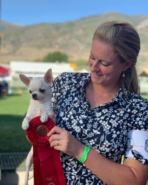 Kristi Green | Knockout Chihuahuas