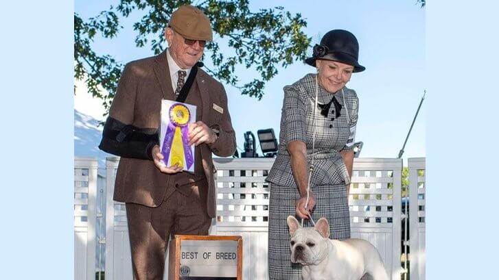 Robin Stansell – 2025 Morris & Essex Kennel Club Breed Judge