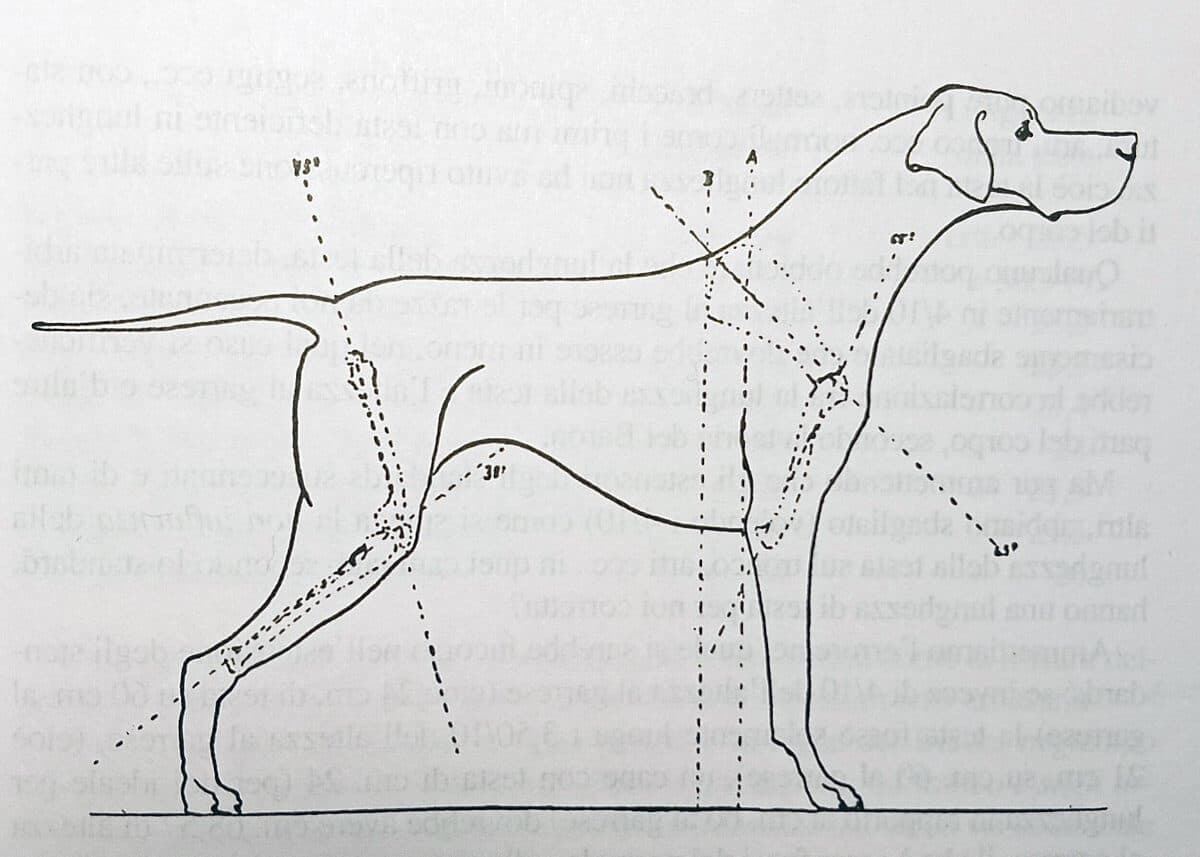 Solaro, p 62