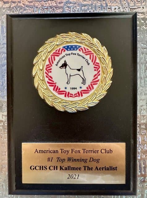 Dog show plaquette