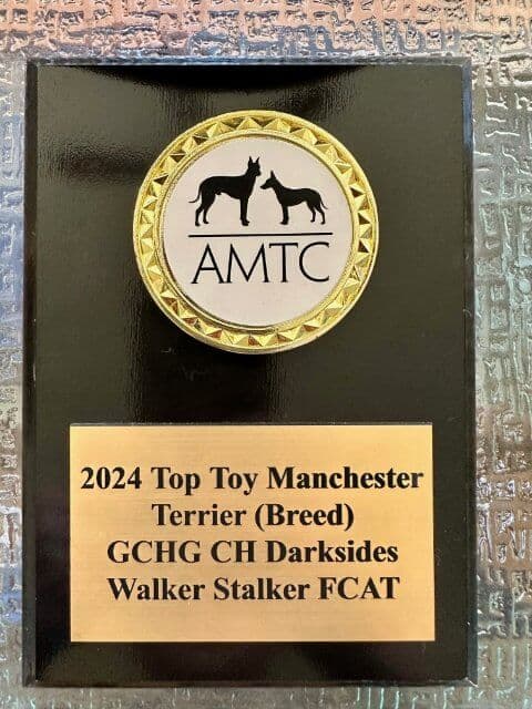 Dog show plaquette