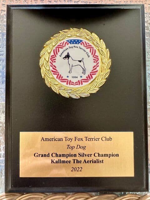 Dog show plaquette
