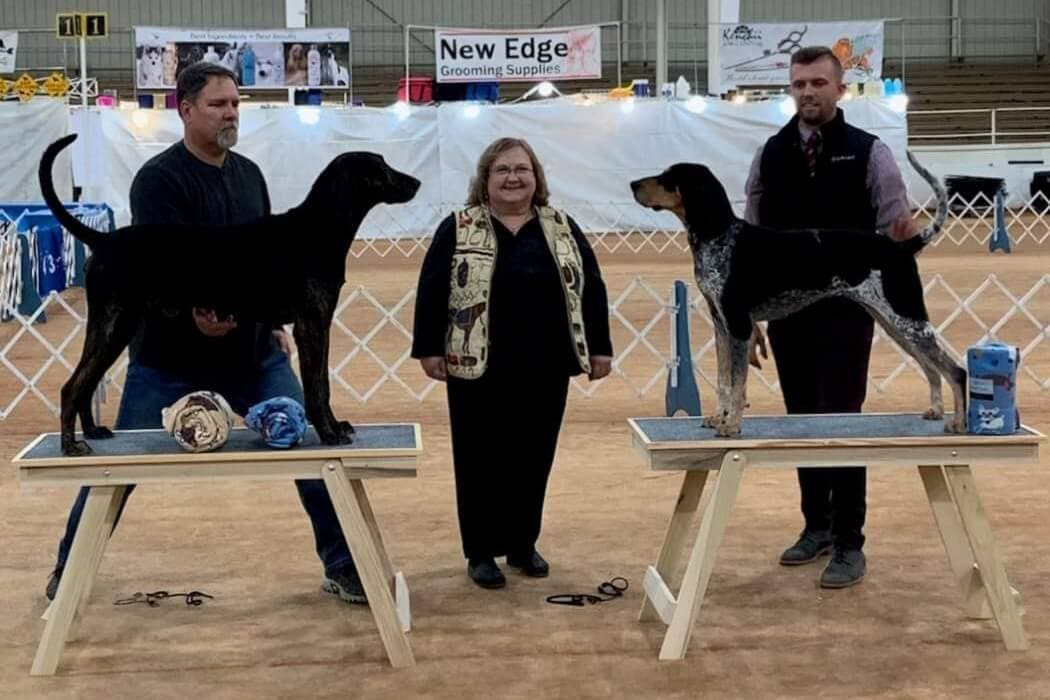 Ann Roth Judging at a dog show