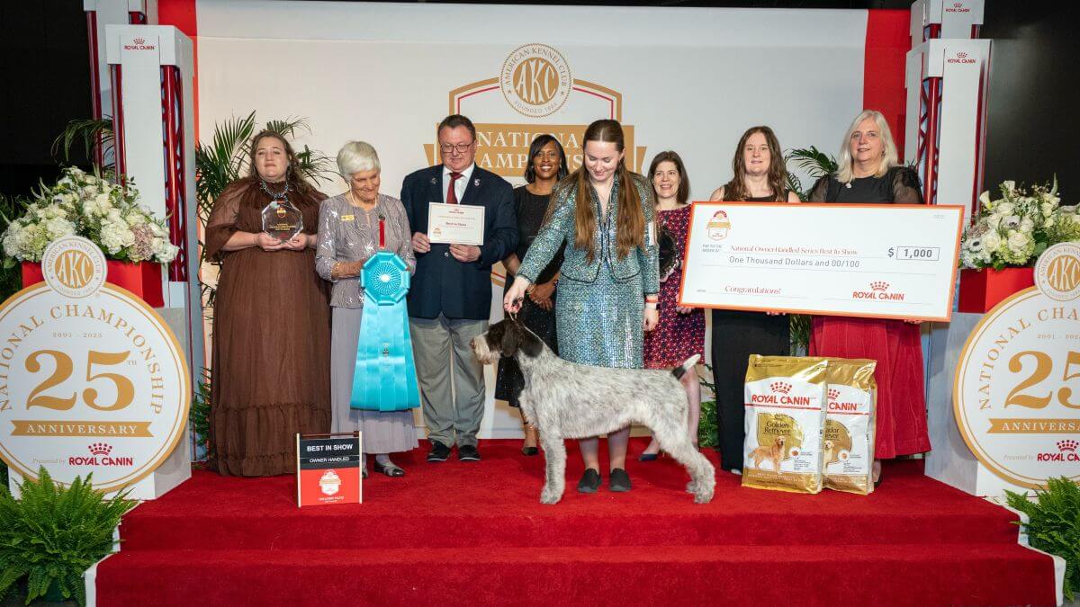 ‘Greta’ & Alexis Chism: 2025 AKC National Championship National Owner-Handled Series Finals BIS