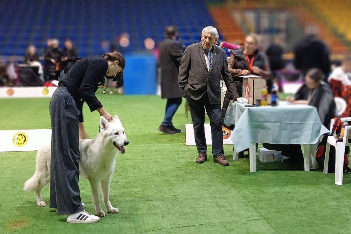 A Dog Show Travel Journal from the Balkans