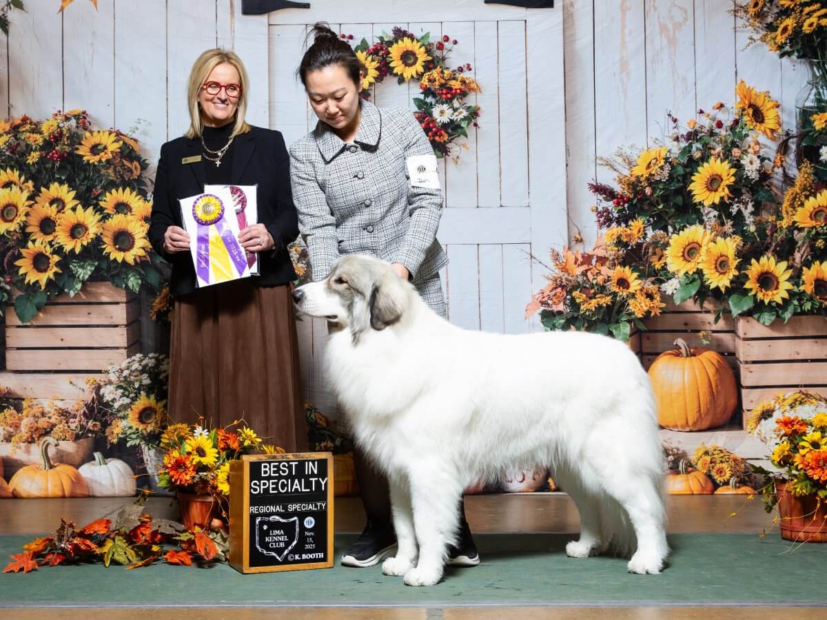 Karen Park at a dog show with her Great Pyrenees, winning best in specialty.
