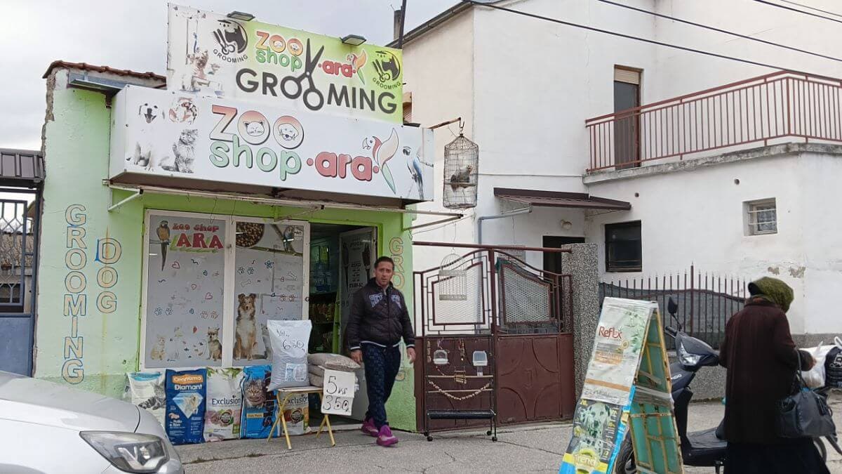 A Dog Show Travel Journal from the Balkans