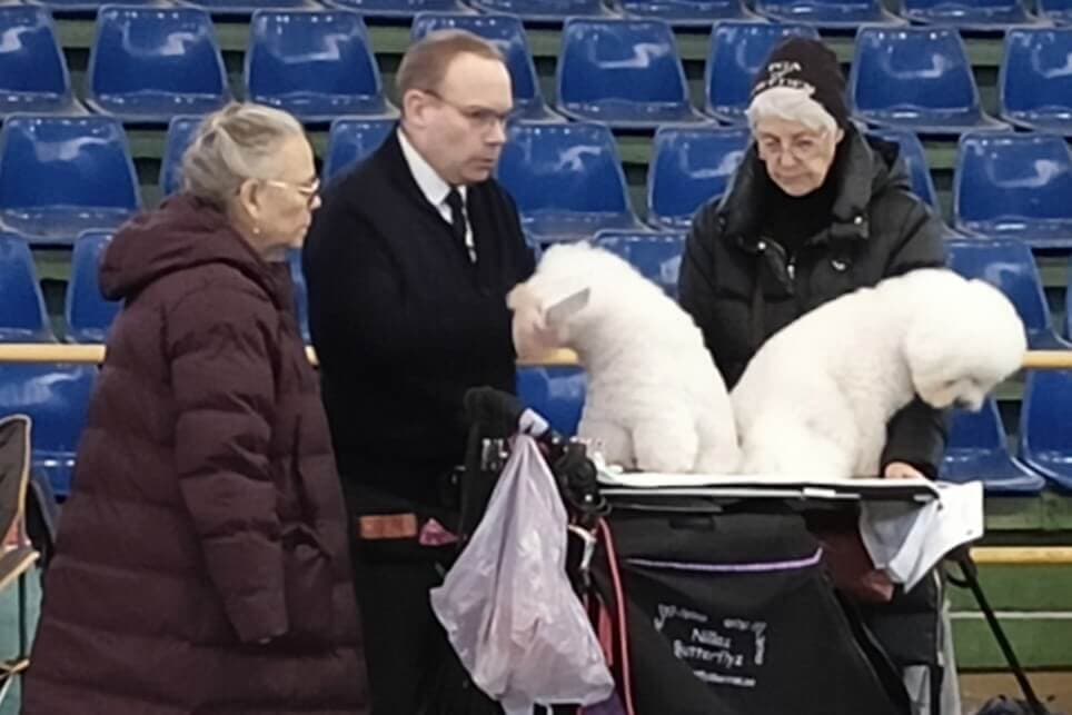A Dog Show Travel Journal from the Balkans