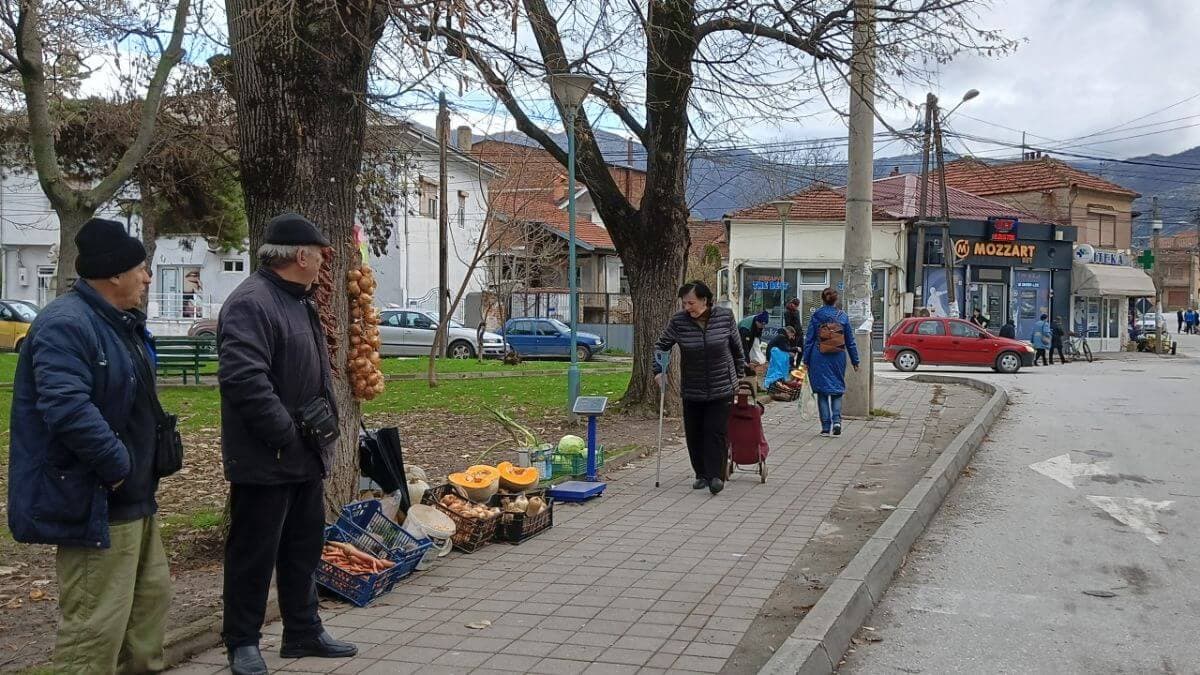 A Dog Show Travel Journal from the Balkans