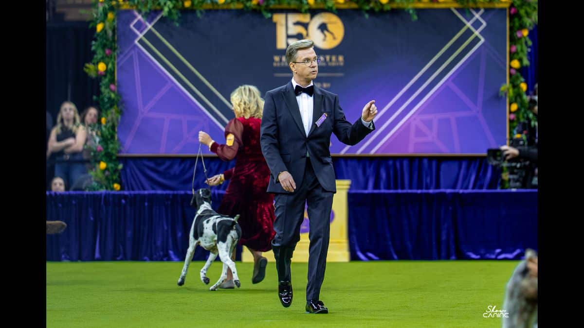 Doug Johnson at the 2026 Westminster Kennel Club Dog Show