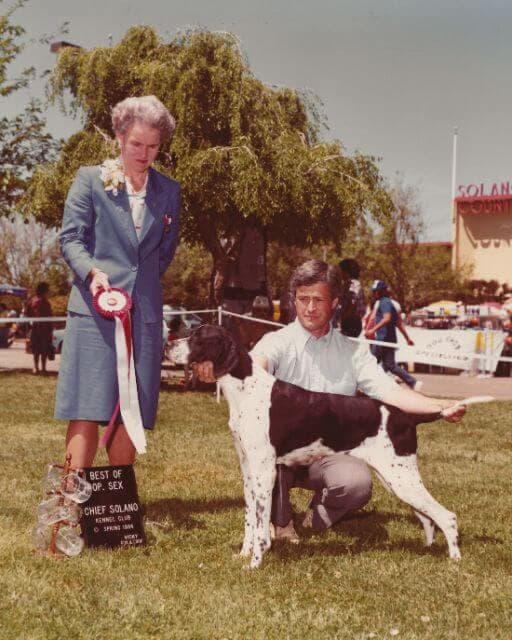 CH Cumbrian Black Lace,1984 (dam of Black Pearl)