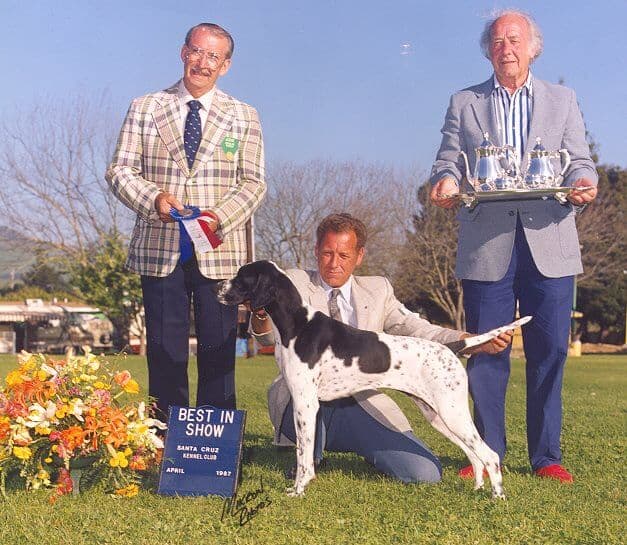 Ch Cumbrian Midnight Lace (one of the youngest Pointer bitches to go BIS; she was 13 months old) with handler Corky Vroom and owners Nat and Gloria Reese