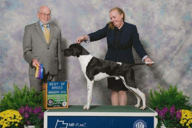 Ch Cumbrian Galileo, 2019
