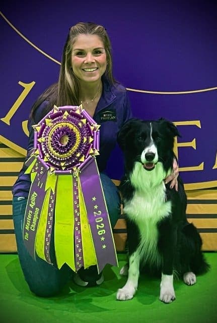 2026 Westminster Masters Agility Championship: Amber McCune & Prove-It