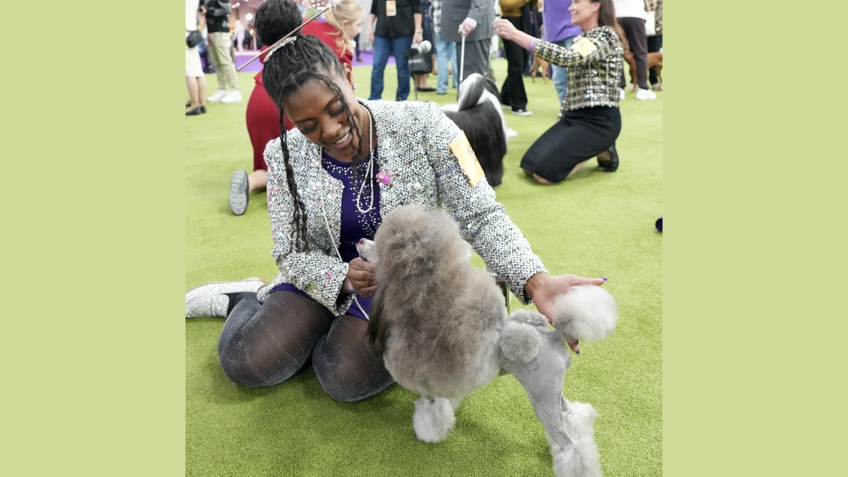 Karrol Courtney at the 2026 Wesminster Dog Show