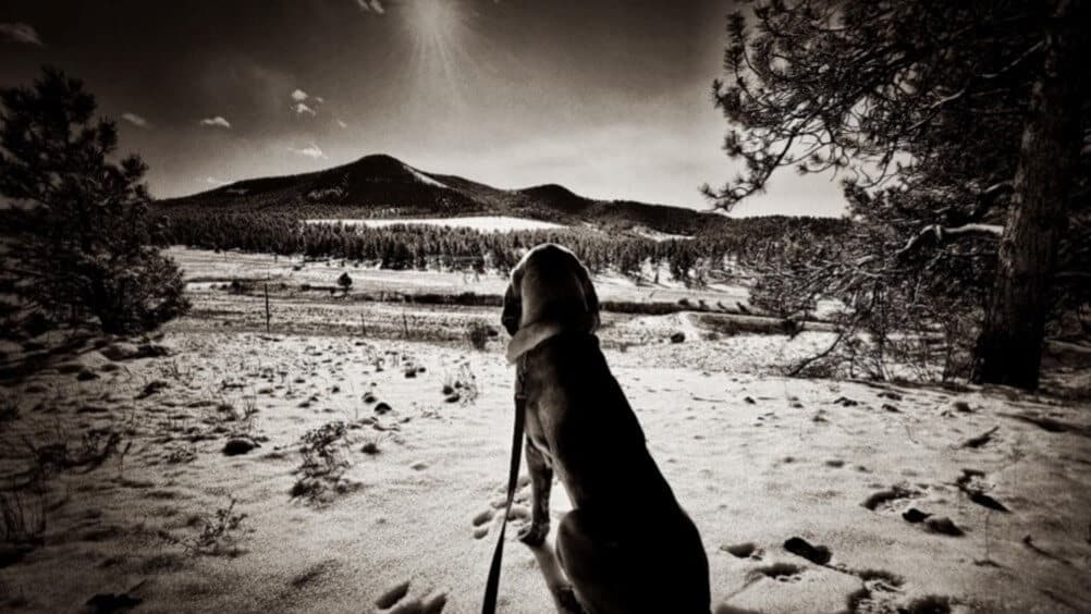 Gunner