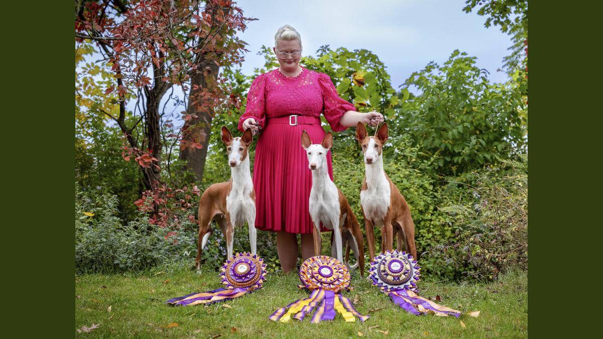 Sarah Murphy with her Abbaio Ibizan Hounds