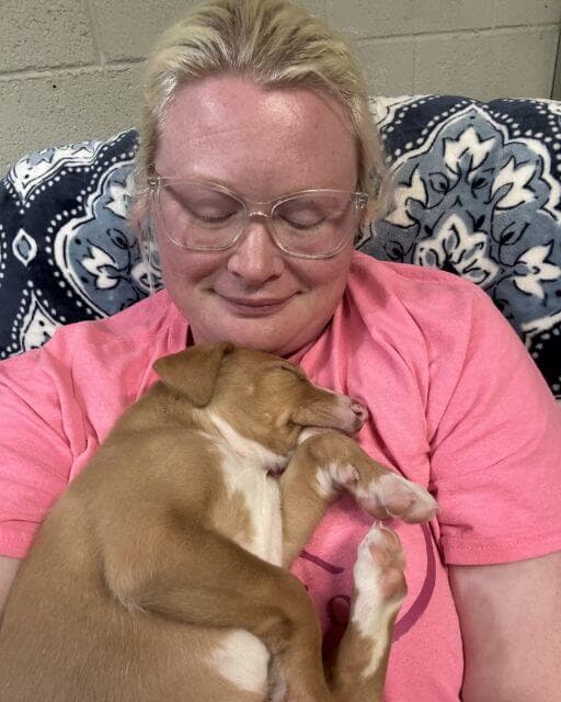 Sarah Murphy with her Ibizan Hound puppy