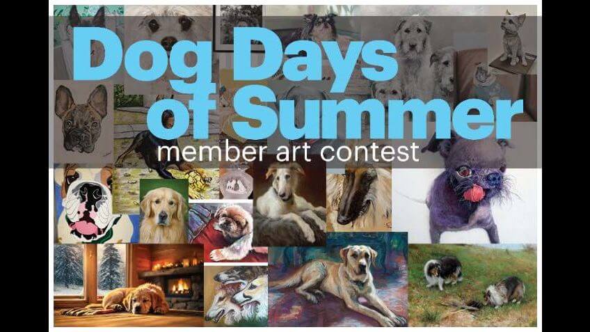 AKC MoD Dog Days of Summer Art Contest